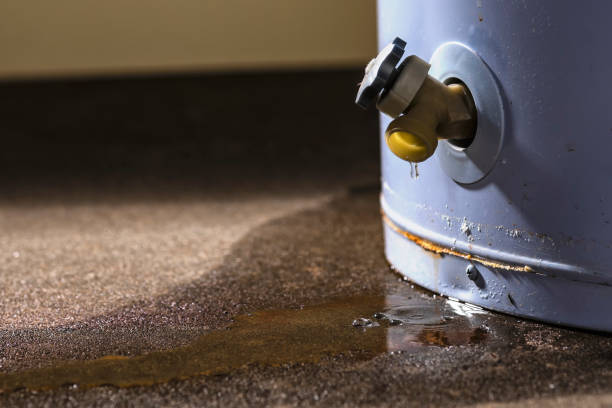 Best Water damage restoration specialists  in Lomira, WI