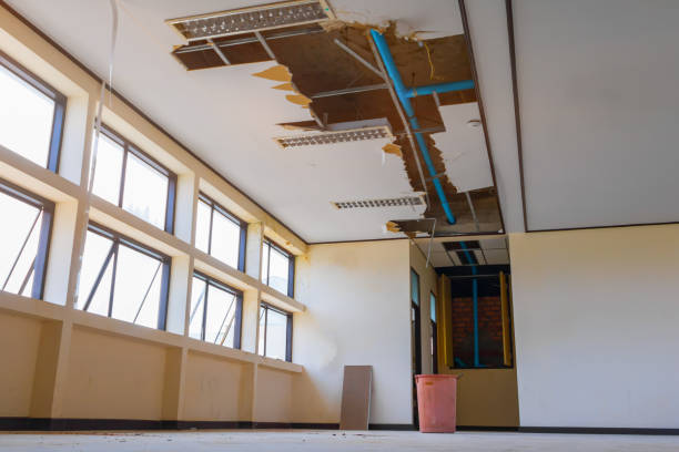 Best Emergency water damage restoration  in Lomira, WI