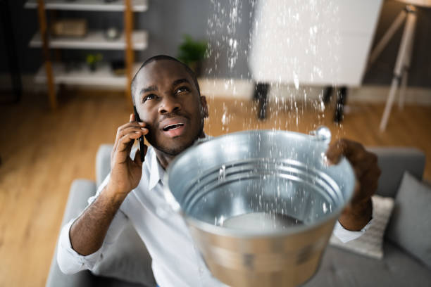 Best Water damage restoration near me  in Lomira, WI