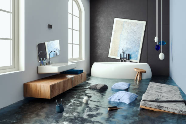 Best Water damage contractors near me  in Lomira, WI
