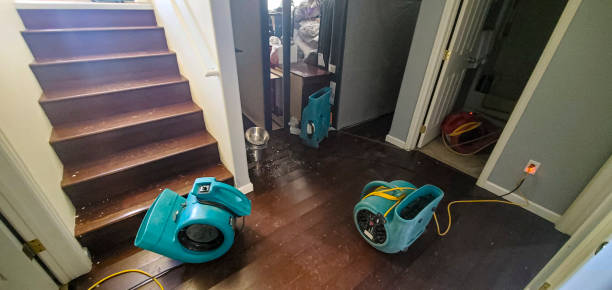 Best Flood restoration services  in Lomira, WI