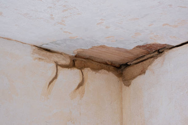 Best 24-hour water damage restoration  in Lomira, WI