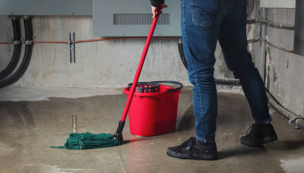 Best Water damage restoration process  in Lomira, WI