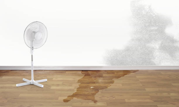  Lomira, WI Water damage restoration Pros