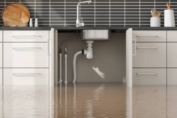 Best Basement water damage restoration  in Lomira, WI