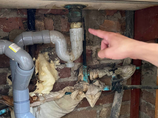 Best Commercial water damage restoration  in Lomira, WI
