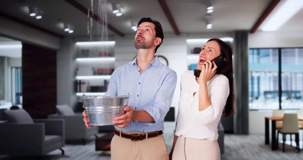 Best 24/7 water damage repair  in Lomira, WI