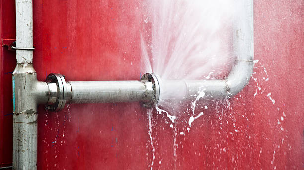 Best Flooded house restoration  in Lomira, WI