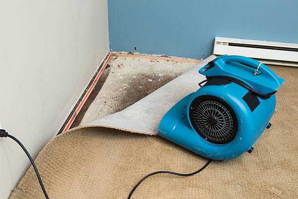 Best Fire Damage Restoration  in Lomira, WI